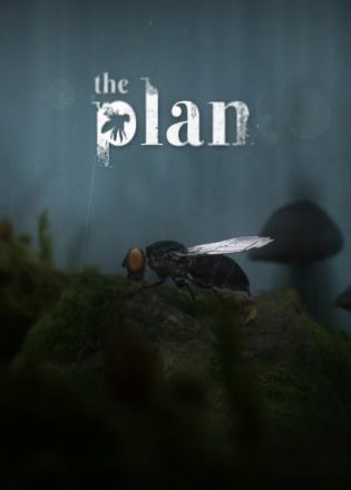 The Plan
